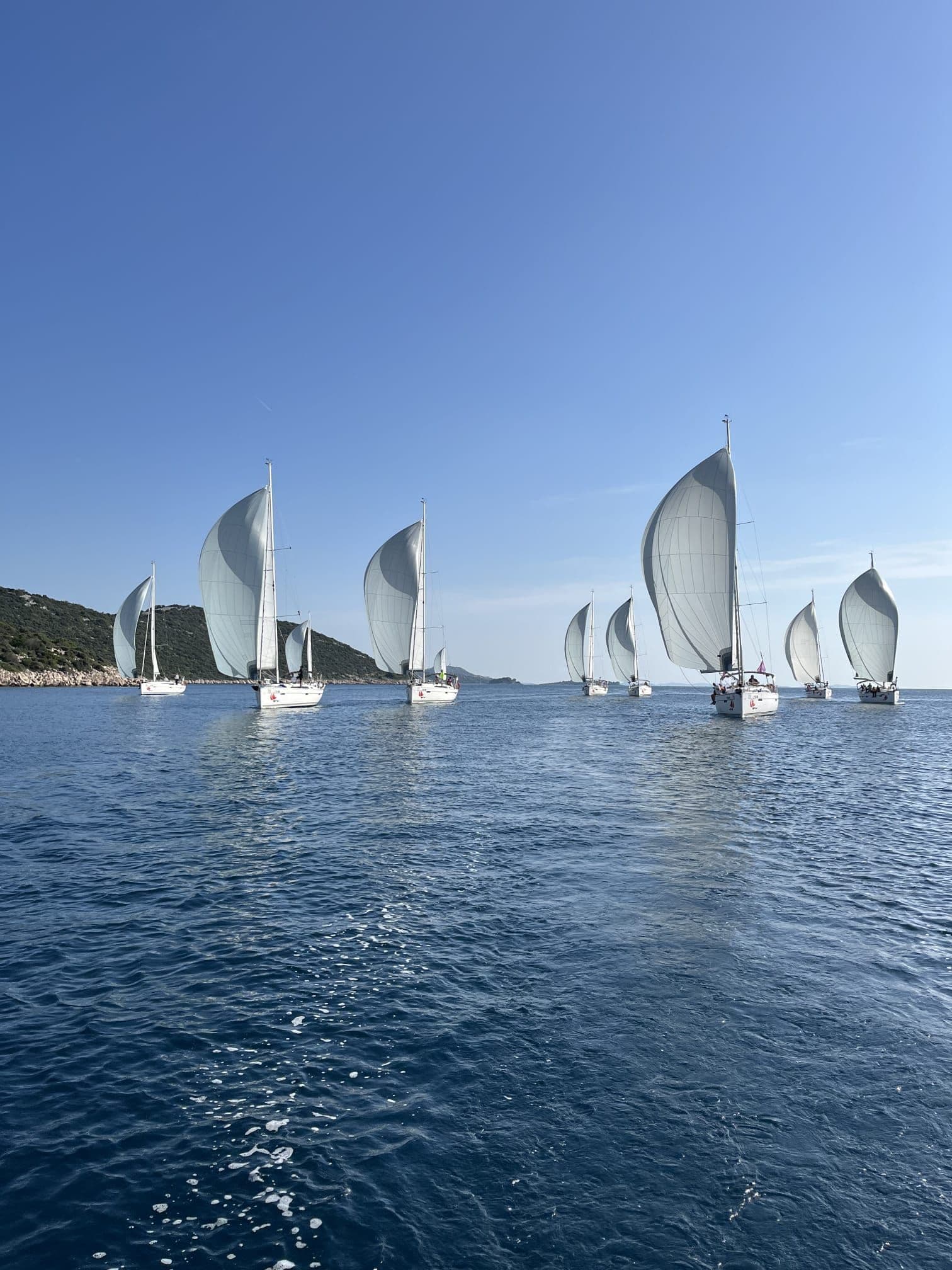 Jadralna Regata